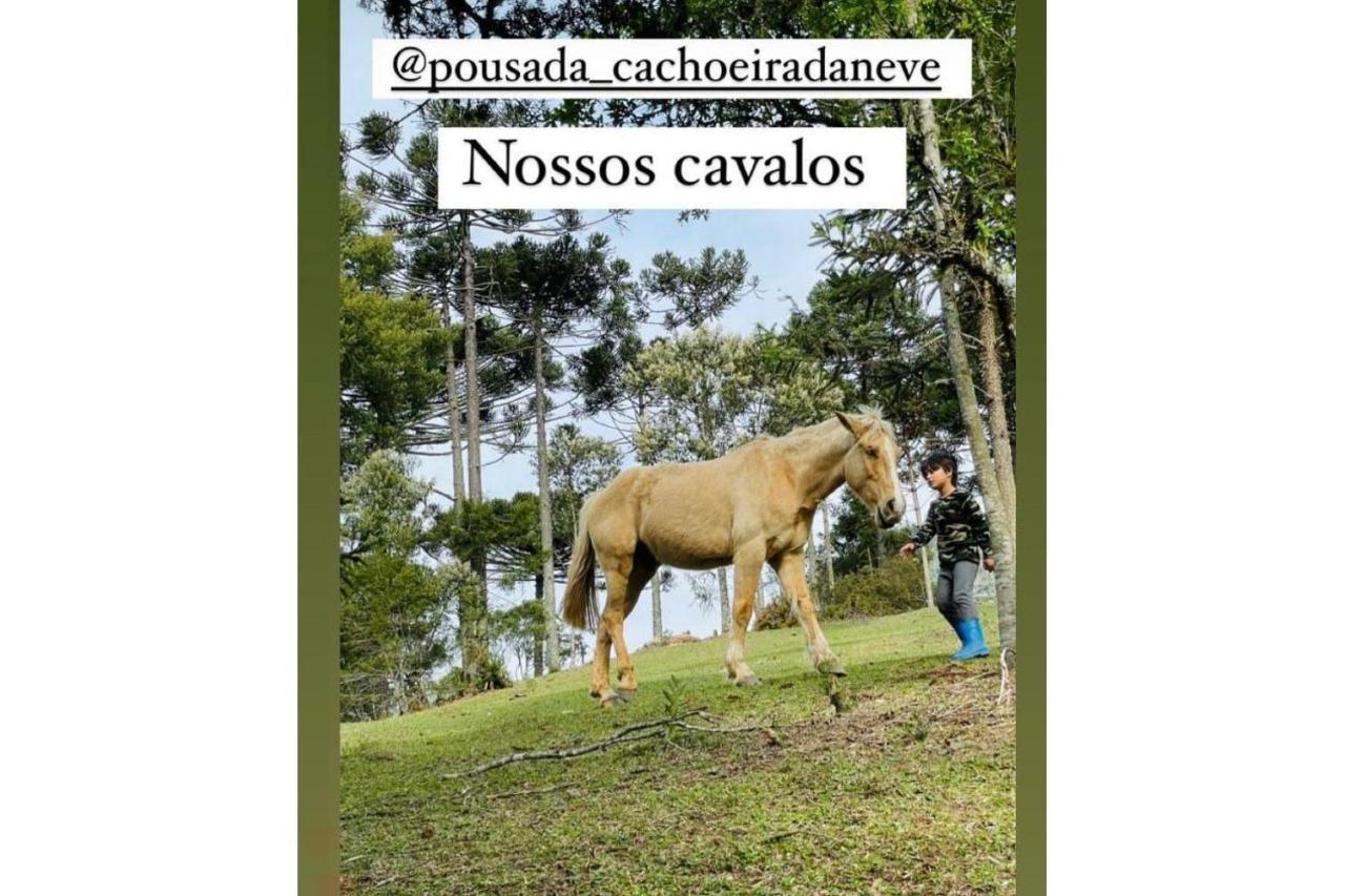 אורוביסי Floresta Secreta- Pousada Cachoeira Da Neve מראה חיצוני תמונה