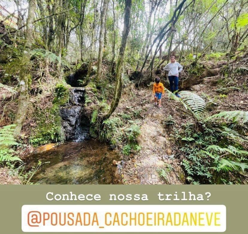 אורוביסי Floresta Secreta- Pousada Cachoeira Da Neve מראה חיצוני תמונה